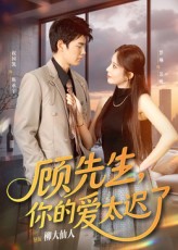 顾先生你的爱太迟了第58集