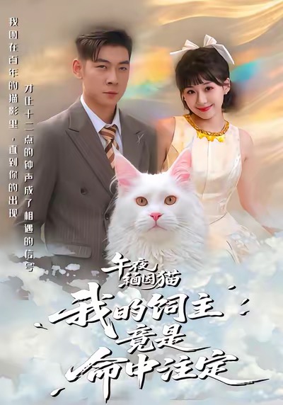 午夜缅因猫我的饲主竟是命中注定第66集(大结局)