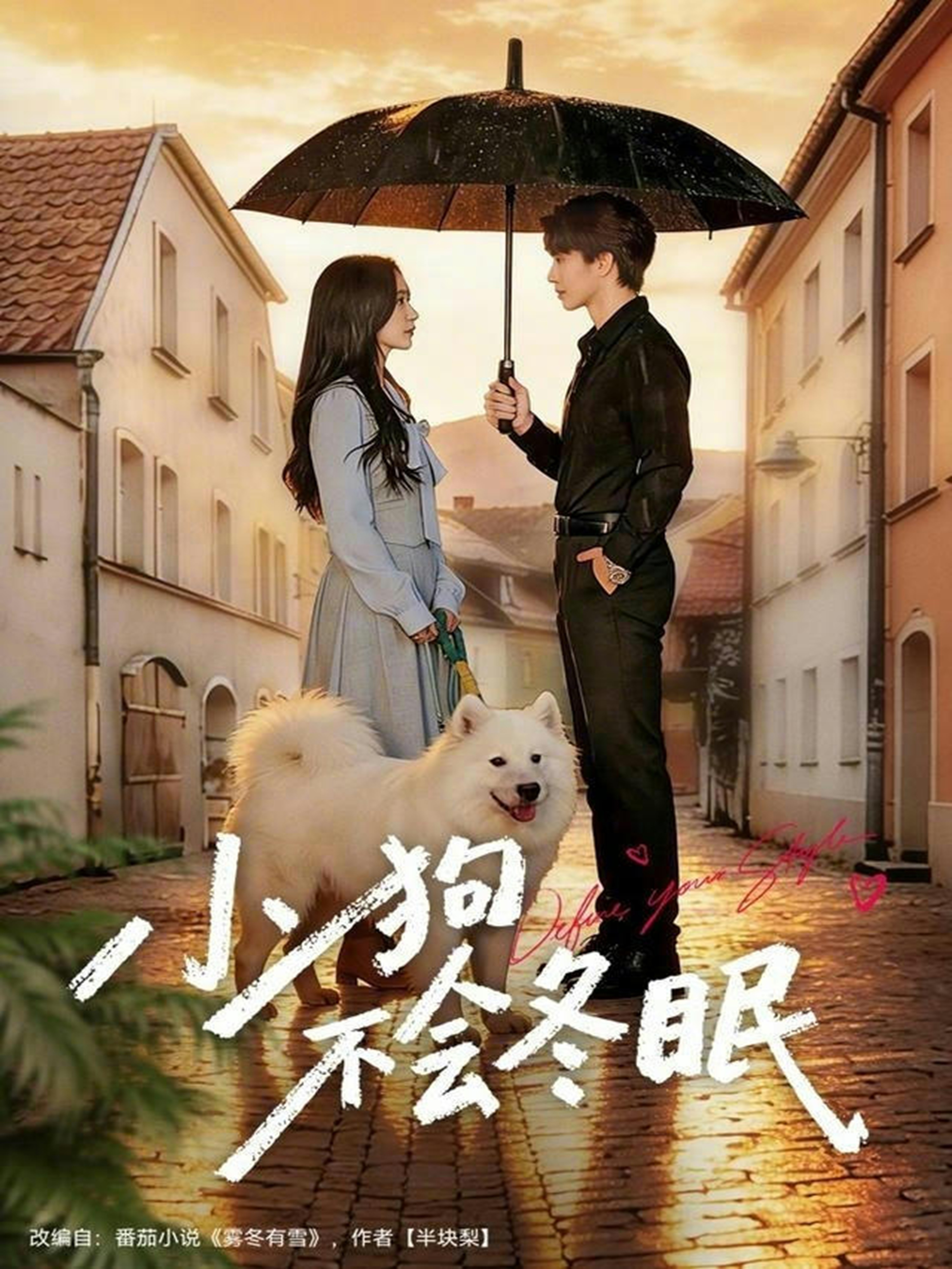 小狗不会冬眠(全集)