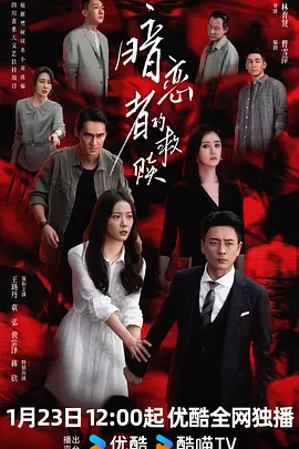 暗恋者的救赎第11集