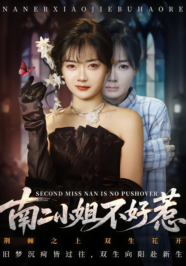 南二小姐不好惹第05集