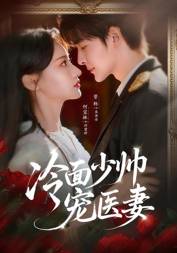冷面少帅宠医妻第26集