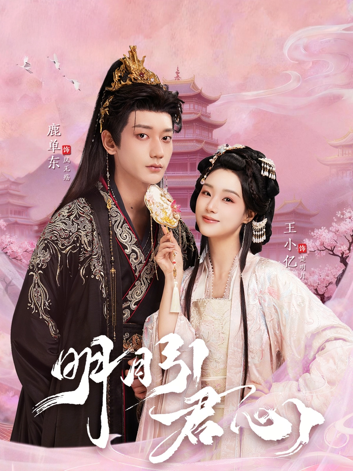 明月引君心第44集