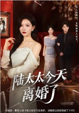 陆太太今天离婚了第32集