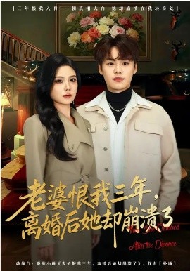 老婆恨我三年，离婚后她却崩溃了第25集