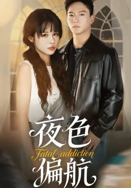夜色偏航第14集