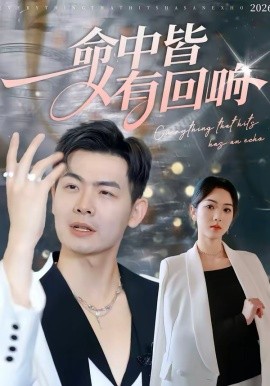 命中皆有回响第14集