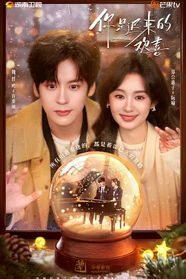 你是迟来的欢喜2026(全集)